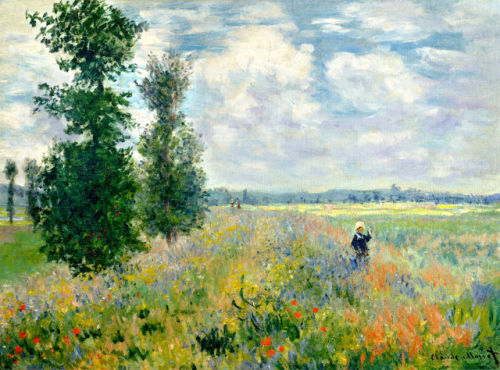 artist-monet:Poppy Field, Argenteuil via Claude Monet