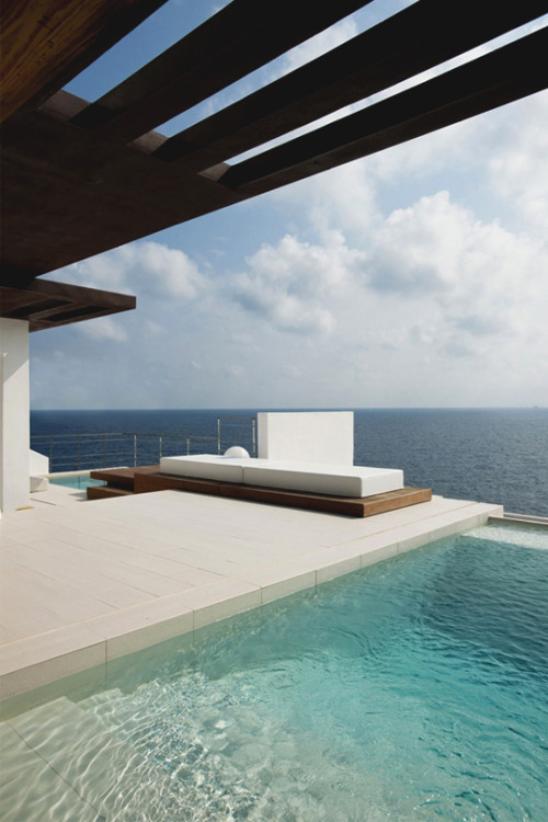 Luxury Buzz