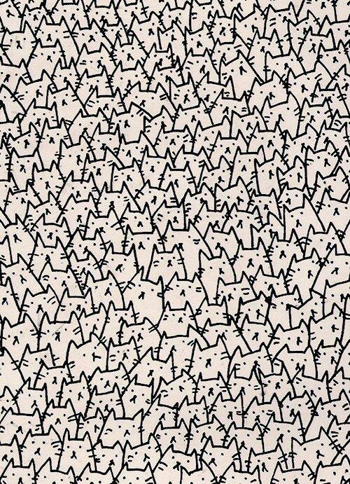 puli1114:  Gatos everywhere en We Heart It. 