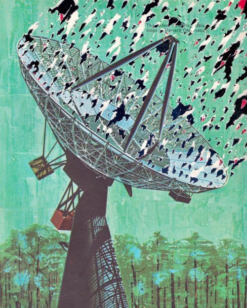 nevver:  The day the Earth stood still, Butternut Collage