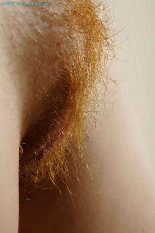 heavenlyredheads.com post 159425308069 porn pictures