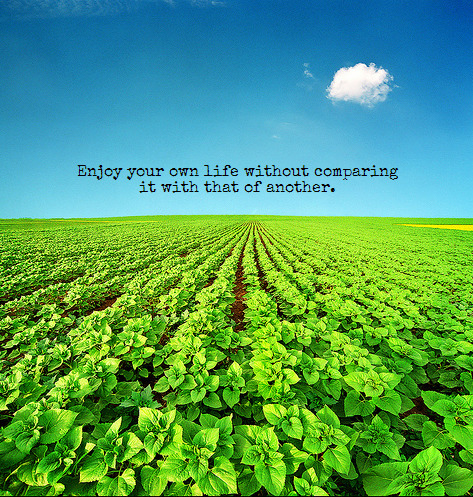 jul7401 - Life
