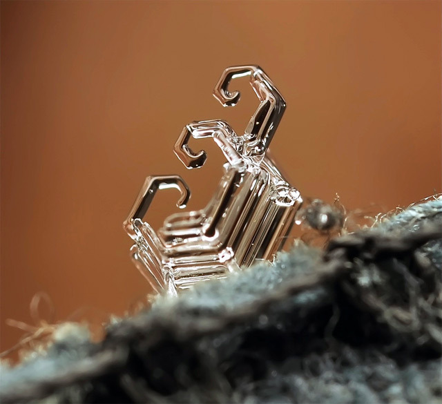 opticallyaroused:  Snowflake