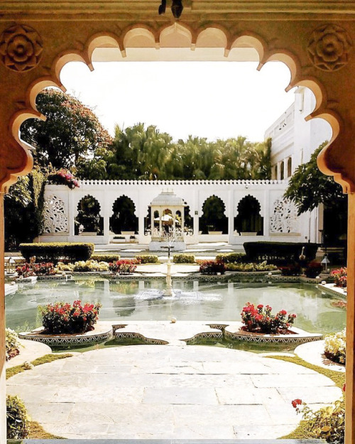 inkxlenses:Lily Pond From Jharokha (Taj Lake Palace, Udaipur, India) | by tajlakepalace