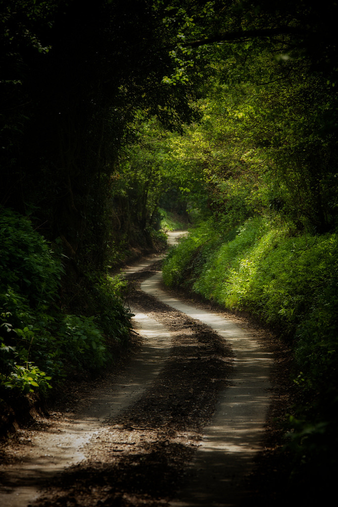 wanderthewood:  Wickham Bishops, Essex, England by Future-Echoes 