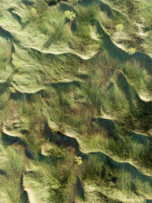 ruheteng:  amazinglybeautifulphotography:  Clarence River Floodplain, Northern NSW Australia [OC] 2587 x 3449 - Author: Stu_Murphy_Artist on Reddit   rüzgârın saçını karıştırdığı otlar