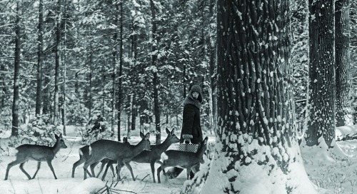 lioninsunheart:Simona Kossak (1943-2007) Polish biologist, ecologist, author, PhD in forestry, and u