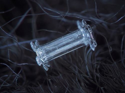 sofeeuhsofia: setbabiesonfire: Micro-photography of individual snowflakes by Alexey Kljatov Very imp