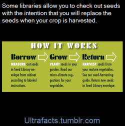 krawdad:  ultrafacts:  A seed library is