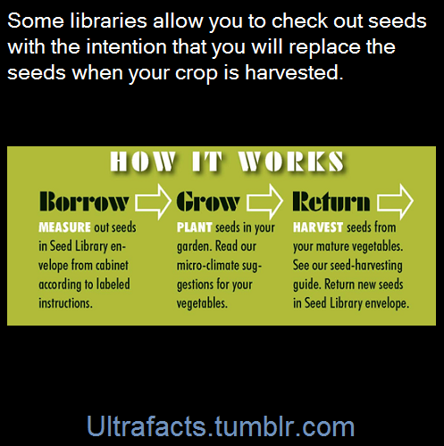 Porn photo krawdad:  ultrafacts:  A seed library is