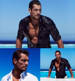 officialdavidgandy:  A selection of gorgeous