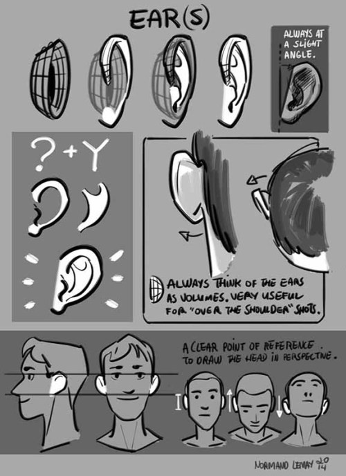 grizandnorm:  Tuesday Tips - EARSIn storyboards, I often don’t put too much thinking into drawing ears. I mostly draw them as shapes. The only time I really need to know the ins and outs of ear anatomy is when I draw an over-the-shoulder shot. I never