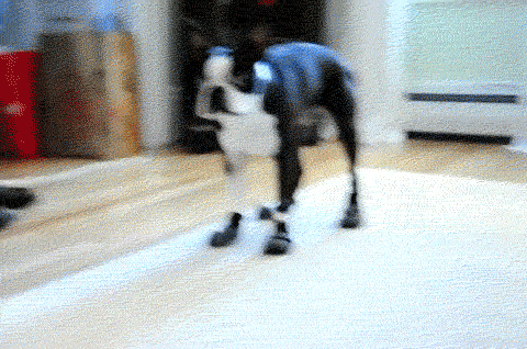 gifss-heaveen:  Daily dose of gifs! !