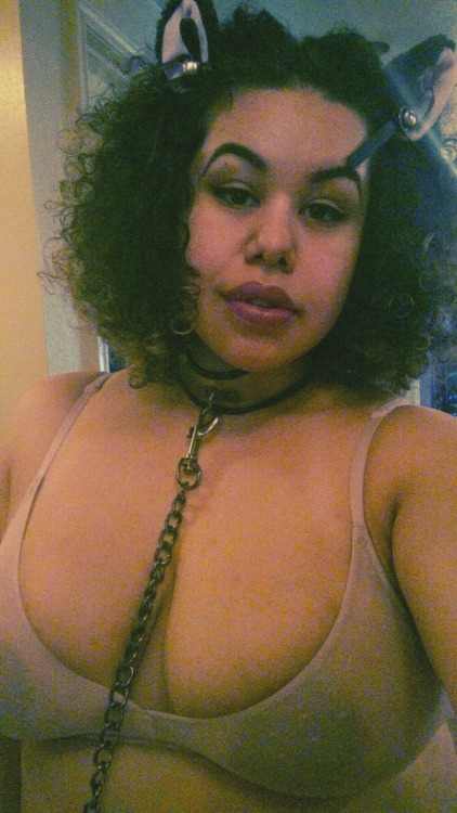 rottenrottengirl: kitten princess So pretty