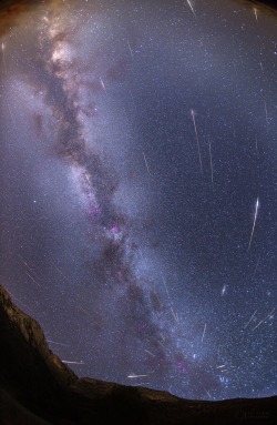 thefirststarr:  The Perseid Meteor Shower   Credit: the-wolf-and-moon