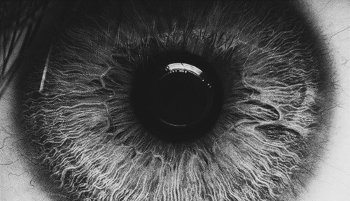 brutalgeneration:  Tumblr We Heart It - http://weheartit.com/entry/48081786/ 