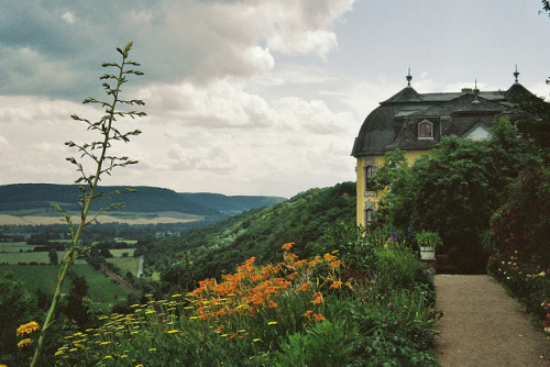 floralls:Dornburg, Germany (by zug55)