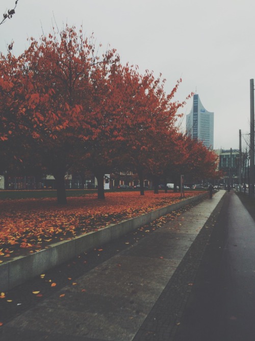 lady-annabelle:  eindeutig herbst. 