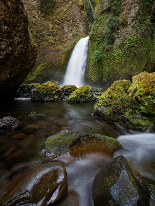 nordvarg:  (via 500px / Wahclella Falls by Maximilian Greiner)        