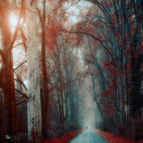 leave the road by ildikoneer on Flickr.