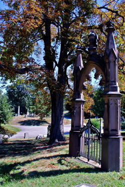 therealrachbot3000:  Green-wood Cemetery