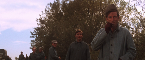 “Nah, calling it your job don’t make it right, Boss.”Cool Hand Luke, 1967Directed by Stuart Ro