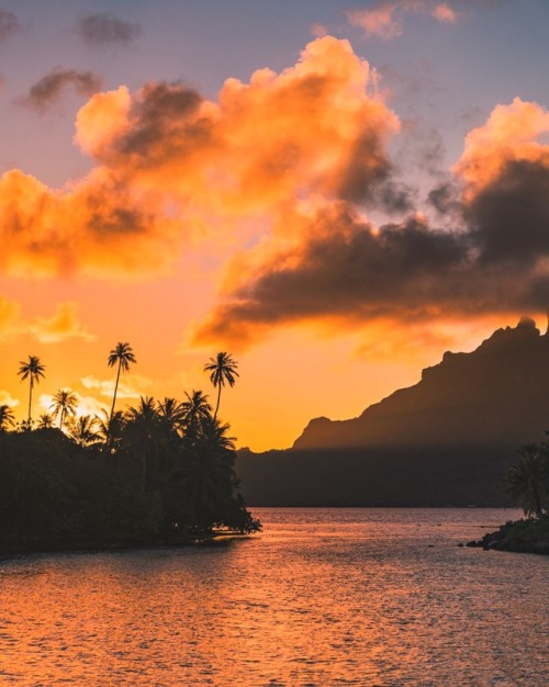 erubes1:Mornings in Bora Bora Follow for more: www.instagram.com/erubes1 xx