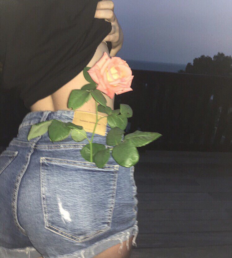 🌷🍁