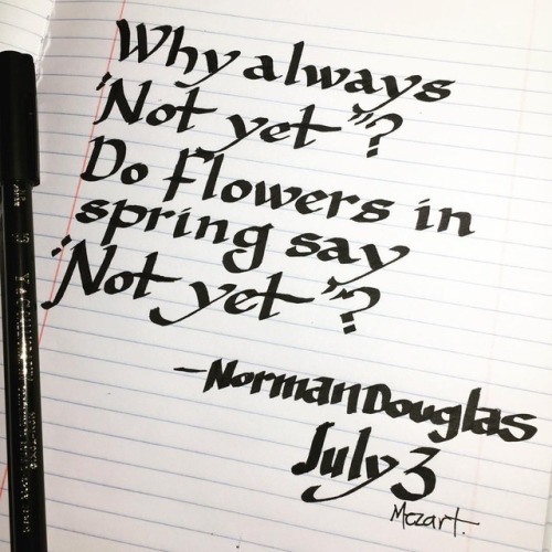 &ldquo;Why always &quot;Not yet&rdquo;? Do flowers in spring say &ldquo;Not yet&