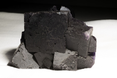 cc-da-wolf:Spectacular “black” fluorite under white light and then back-lit to show its true color: 