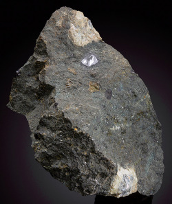 hematitehearts:  Diamond on KimberliteLocality: 