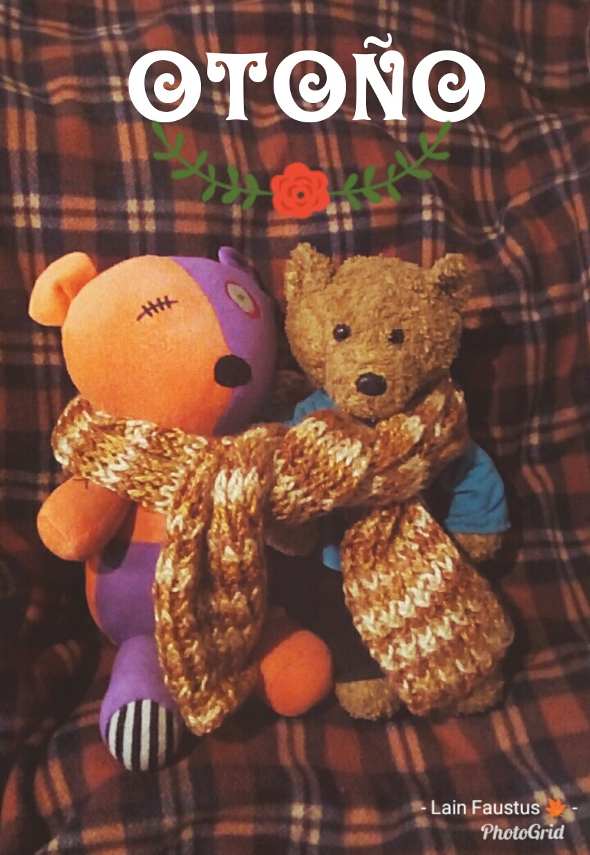 oso de peluche gigante tumblr