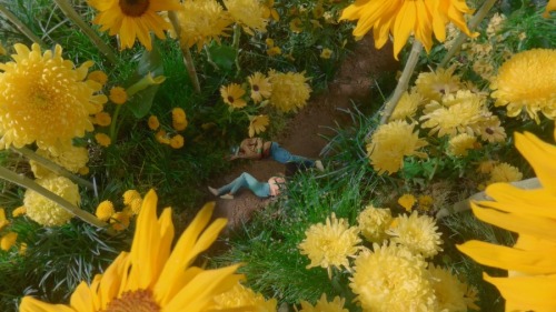 soluisrex:  yellow ft lolawolf x lionbabe x tyler the creator x eliza doolittle 