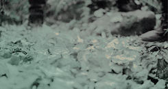 katesrick:   fangirl challenge = 4/10 female characters ♥ raven reyes “You are
