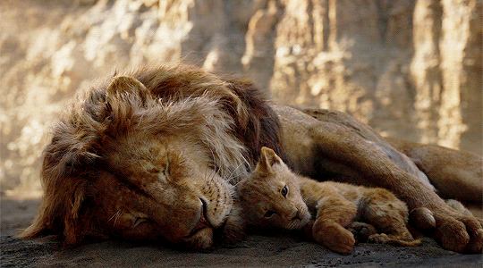 Chely Audi The Magic Girl Disneyliveaction The Lion King 19 Dir Jon