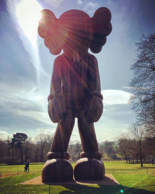 Massive KAWS sculpture at Yorkshire Sculpture Park. #kaws #sculpture #yorkshiresculpturepark #ysp #l