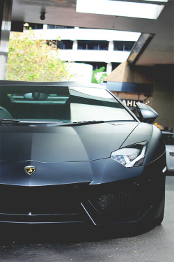 italian-luxury:  Lamborghini Aventador 