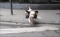4gifs:  Subwoofers 