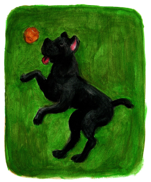 Part 1 of Doggust stuff I painted last month. Days 1-5: Nova Scotia, Bull Terrier, Cane Corso, Jindo