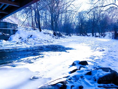 Frozen Wonderland | Rouge River | Michigan