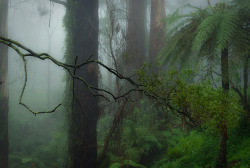 tumblr photo