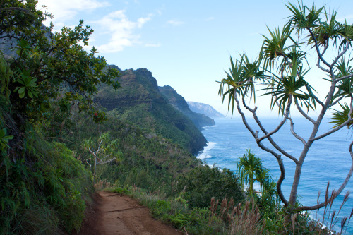 dylanchilds: Napali Coast Trail Kauai, Hawaii 2012