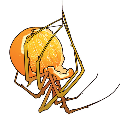 Description:  Oh boy.  Okay, it’s a spider, but its body is made from a half peeled orange.  The und