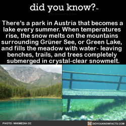 did-you-know:  There’s a park in Austria