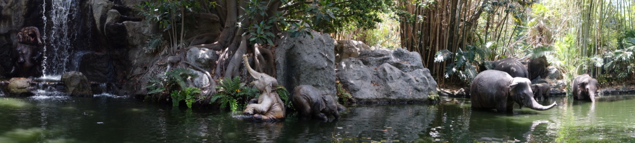 foobar137:  The good thing about being stuck on the Jungle Cruise: how often do you