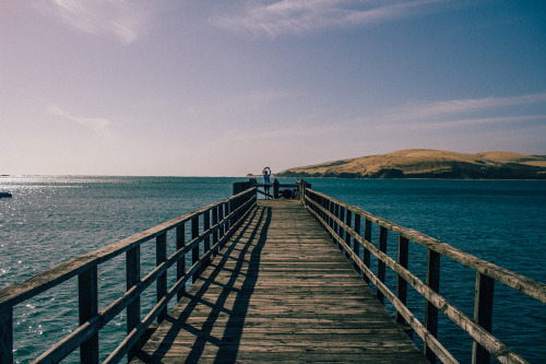 Northland, New Zealand. Waipoua Forest –> Hokianga –> Keri Keri 