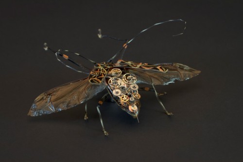 XXX asylum-art:  Intricate Steampunk Insects photo