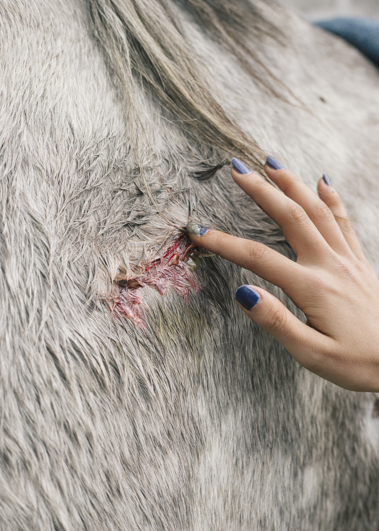 “Land of a Thousand Dances” 2019
Land of a Thousand Dances is a story about Esteban and his family. Living in Belin-Béliet (FR), This Chilean family lives from day to day where time no longer exists. Macarena dances flamenco with her horses while...