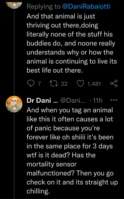 ankewehner:digsdigsdigs:this thread is more affirming than 95% of “self care” materialsHere, I found the thread for you so cou can look at the Lazy Geoff stories from others: https://twitter.com/DaniRabaiotti/status/1506643102957813768 