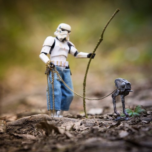 archatlas:The Daily Life of a Miniature Stormtrooper Darryll...